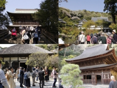 寺ネットサンガの遠足～鎌倉お坊さんと話しながら春の鎌倉を散歩