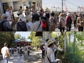サンガの遠足~多摩川台古墳群と等々力渓谷 サンガの遠足~多摩川台古墳群と等々力渓谷