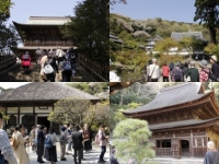 寺ネットサンガの遠足～鎌倉